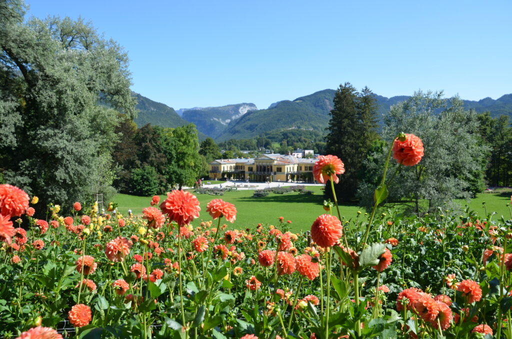 Dahliengarten Kaiserpark Landesgartenschau Bad Ischl