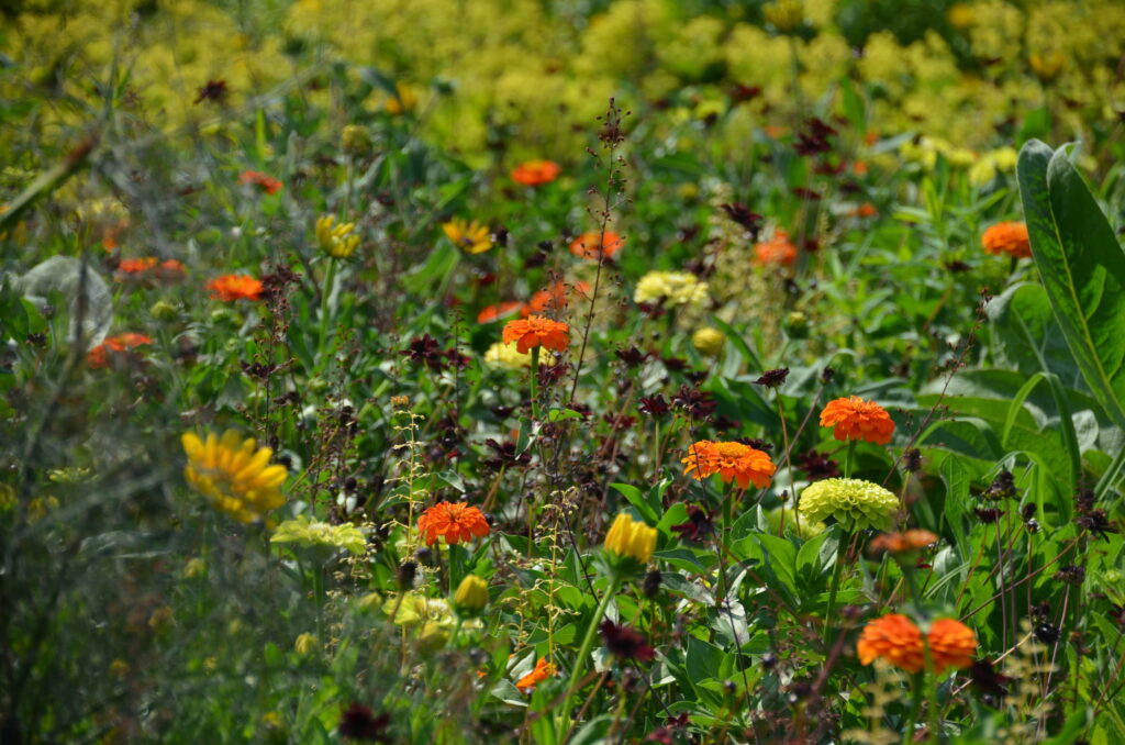 Landesgartenschau Kremsmünster