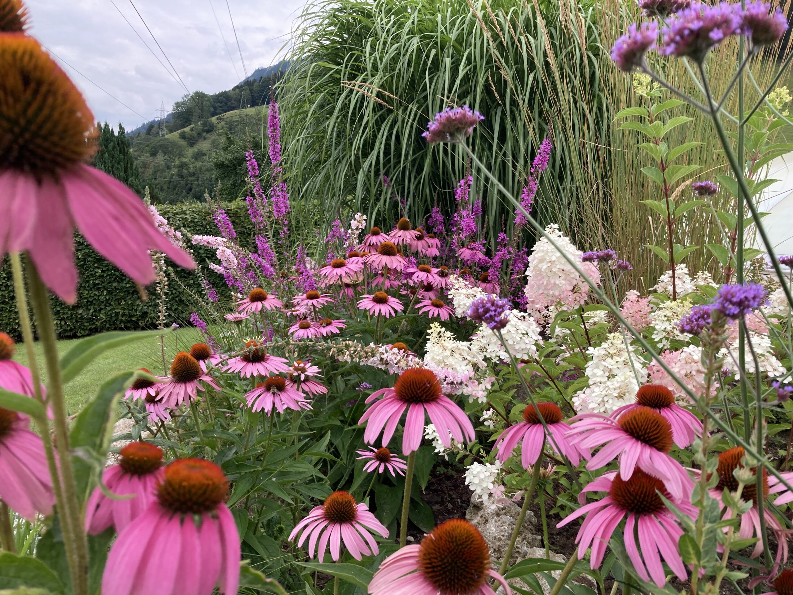 Vorher-Nachher Pool-Beet