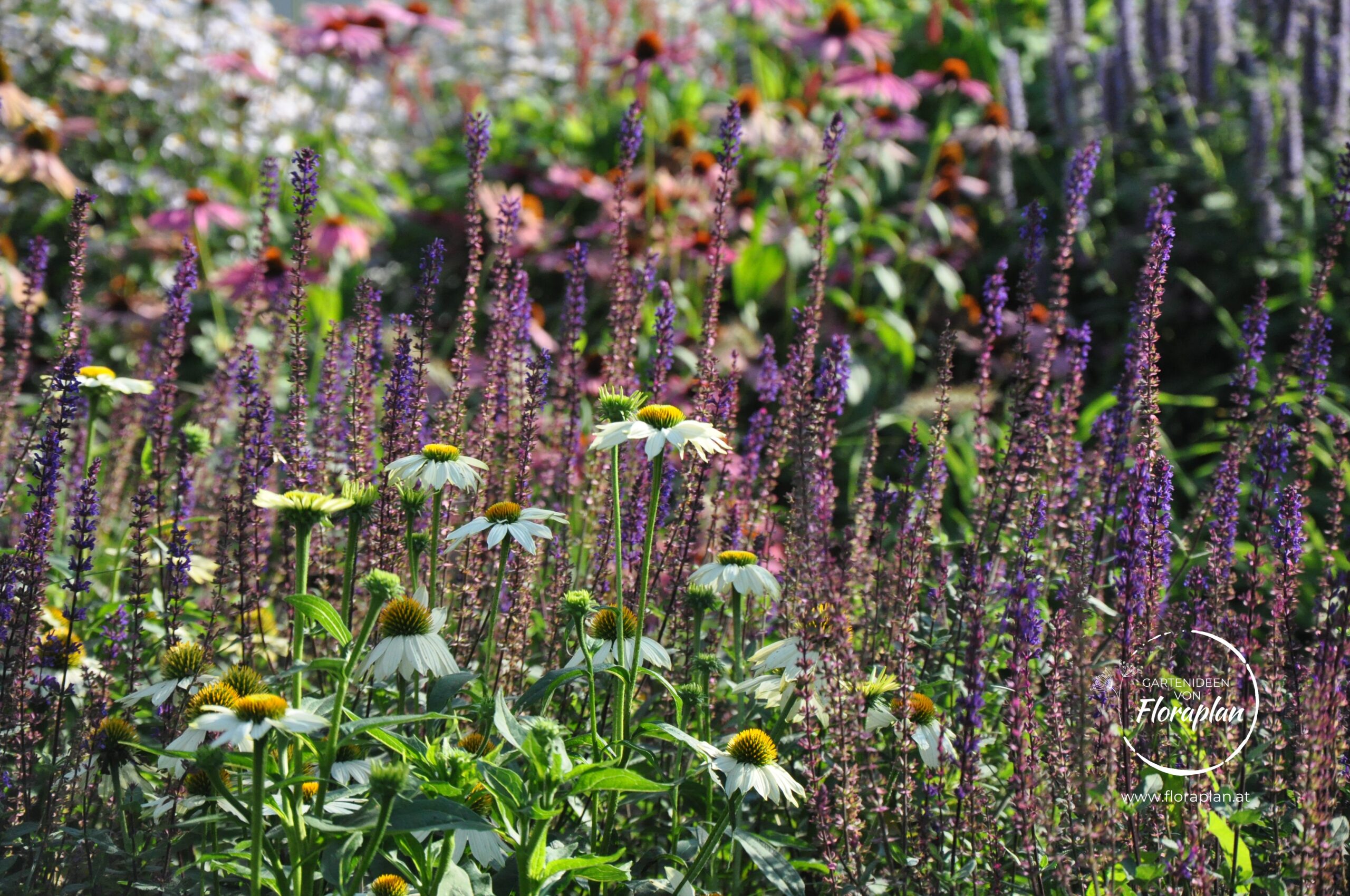 Gartenplanung Firmengarten Staudenbeet