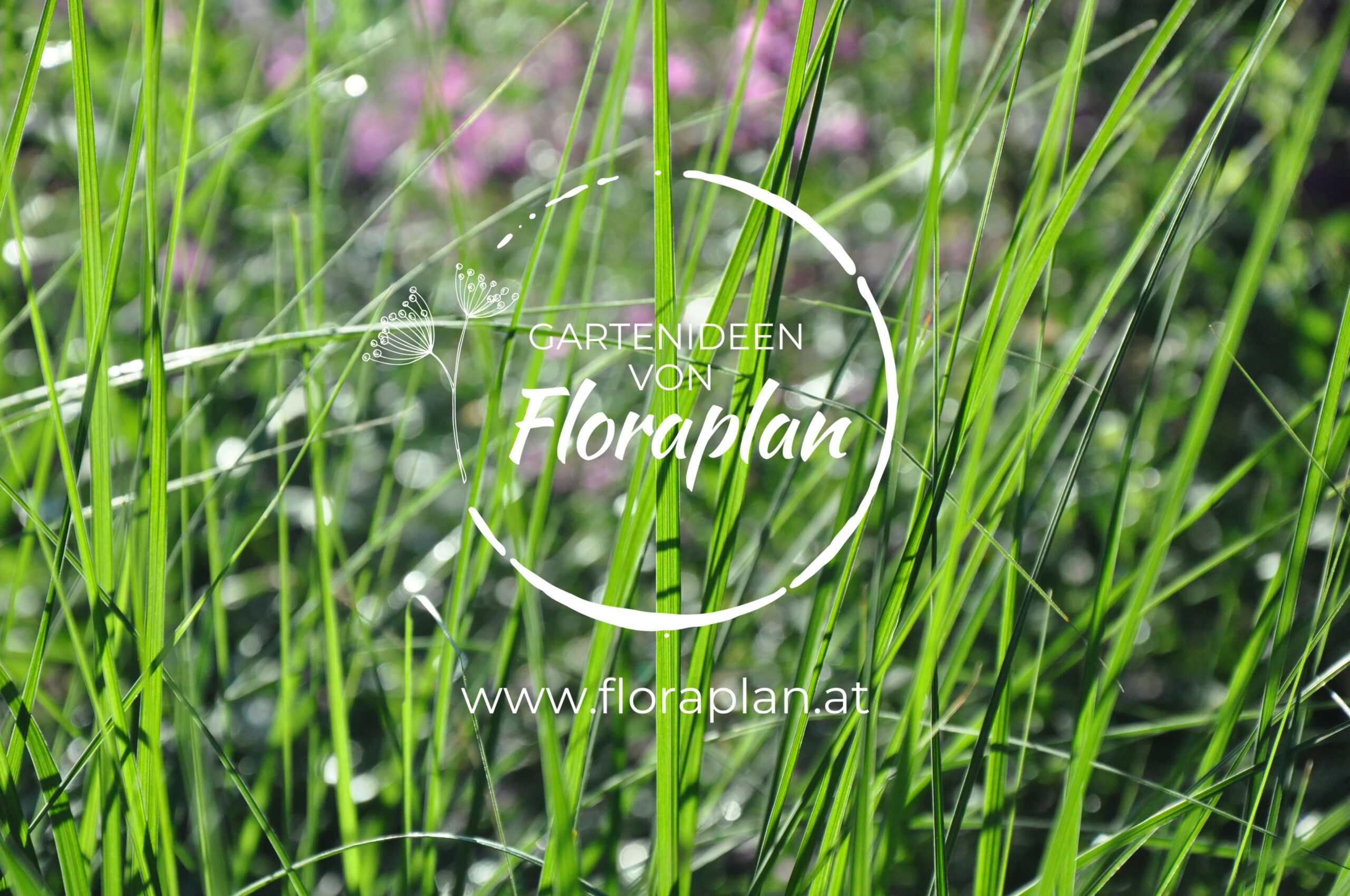 Gartenplanung Floraplan