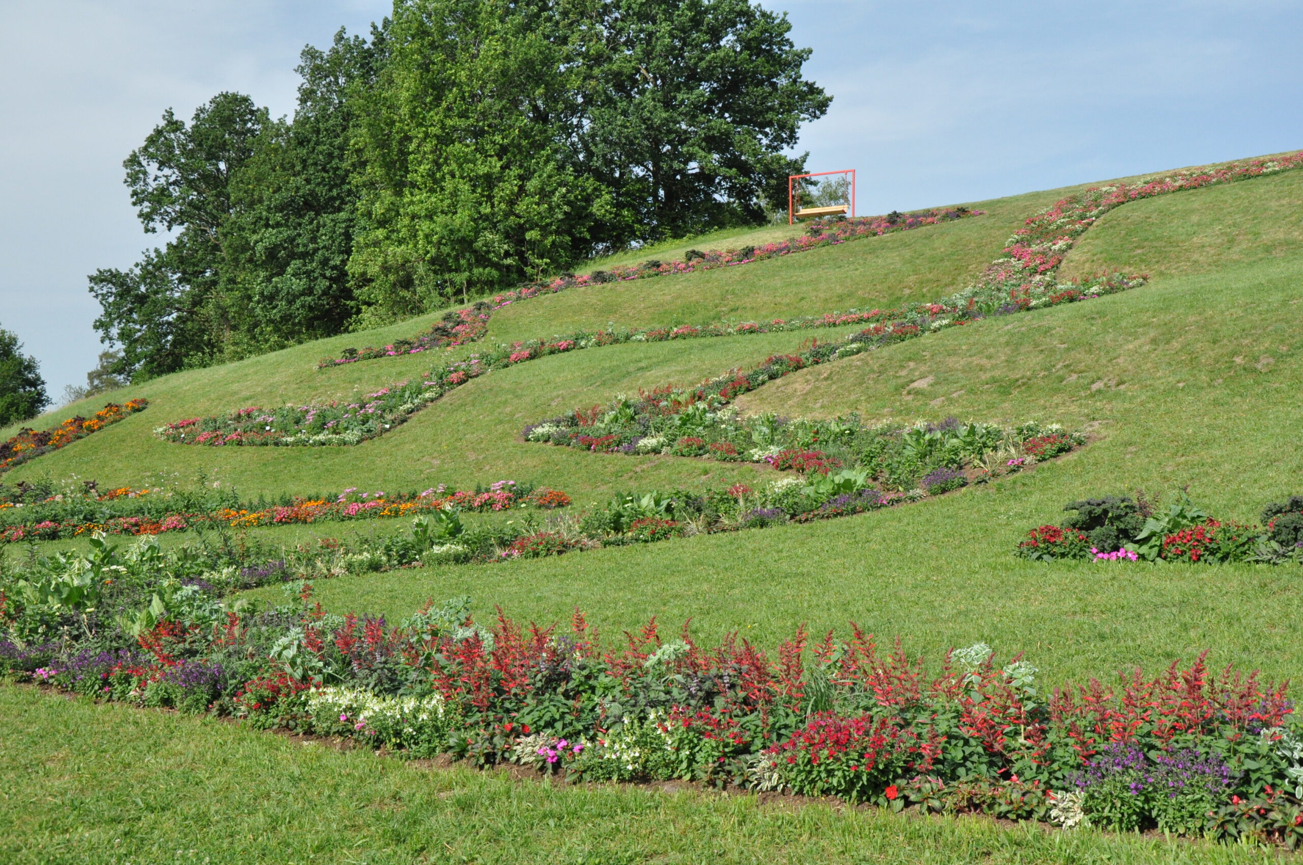 Landesgartenschau Sommerflor