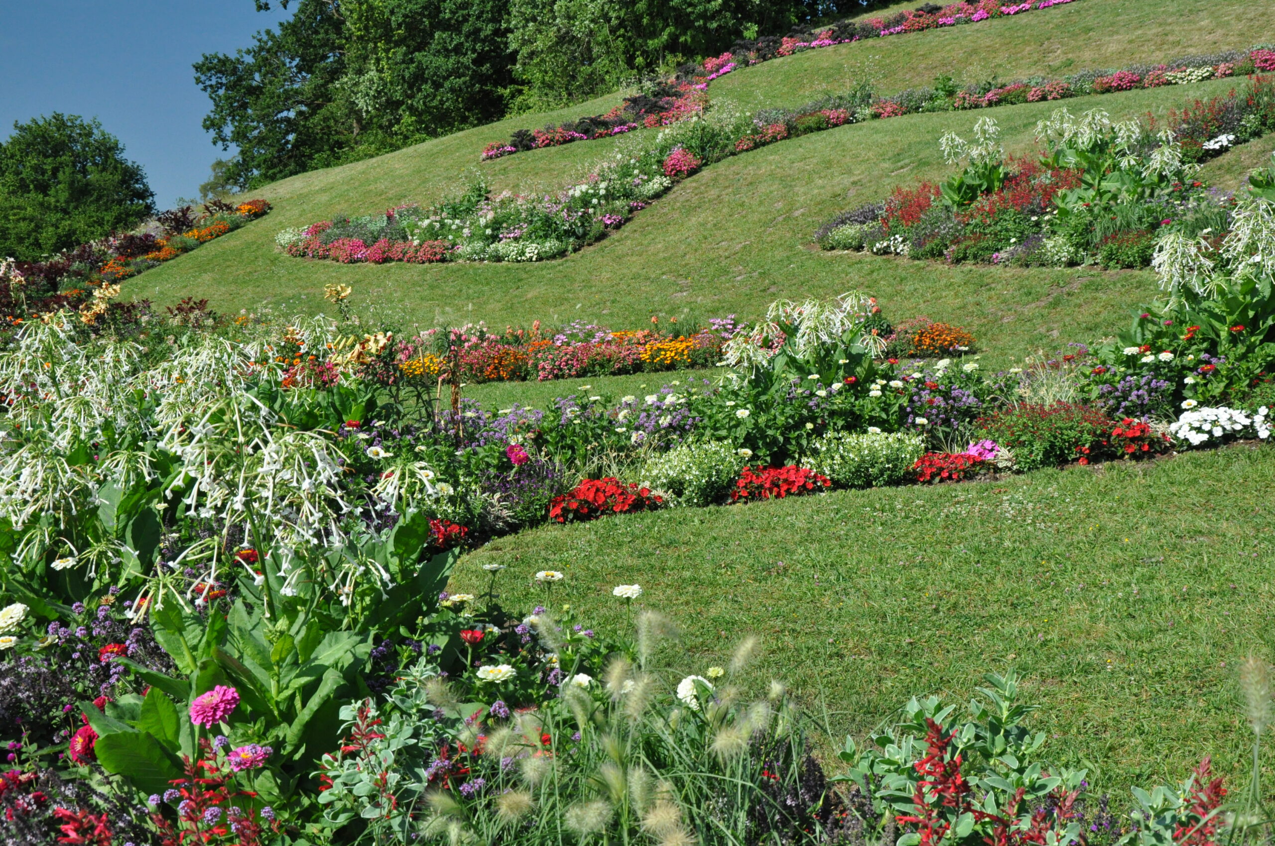 Landesgartenschau Sommerflor