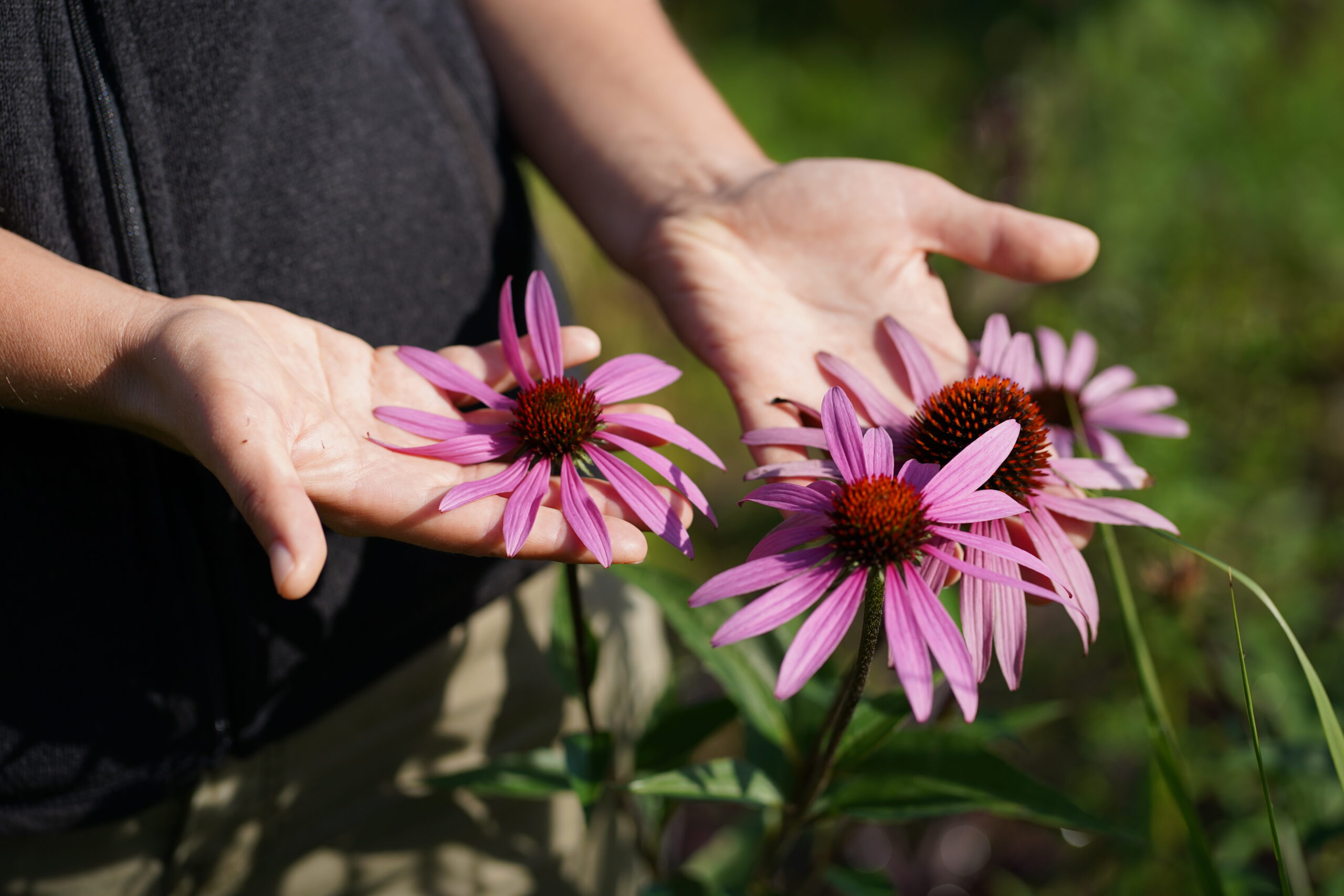 Julia Schachinger Floraplan