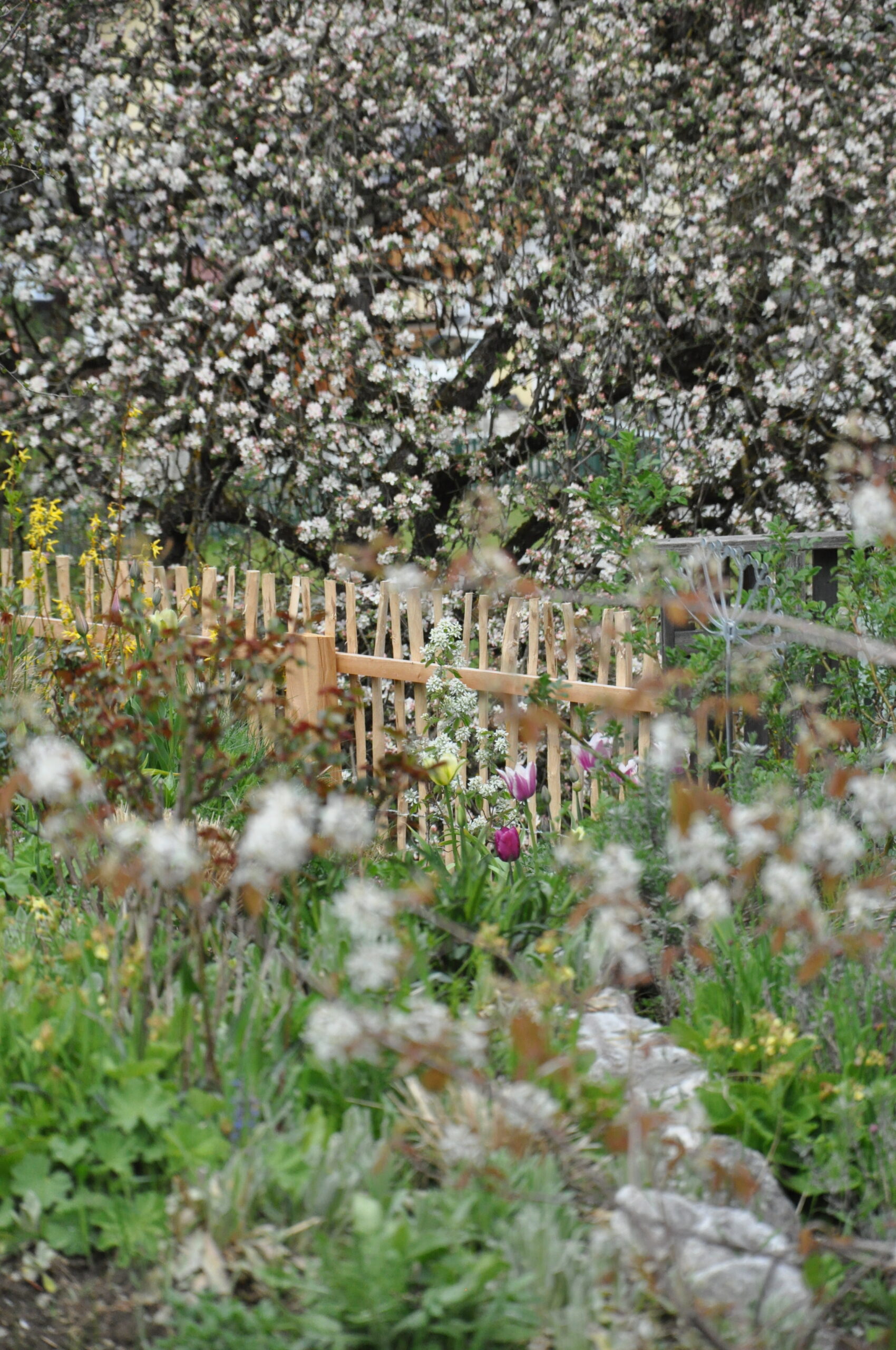 Frühlingsgarten