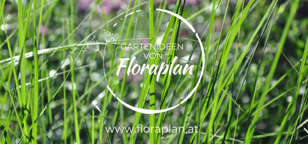 Gartenplanung Floraplan